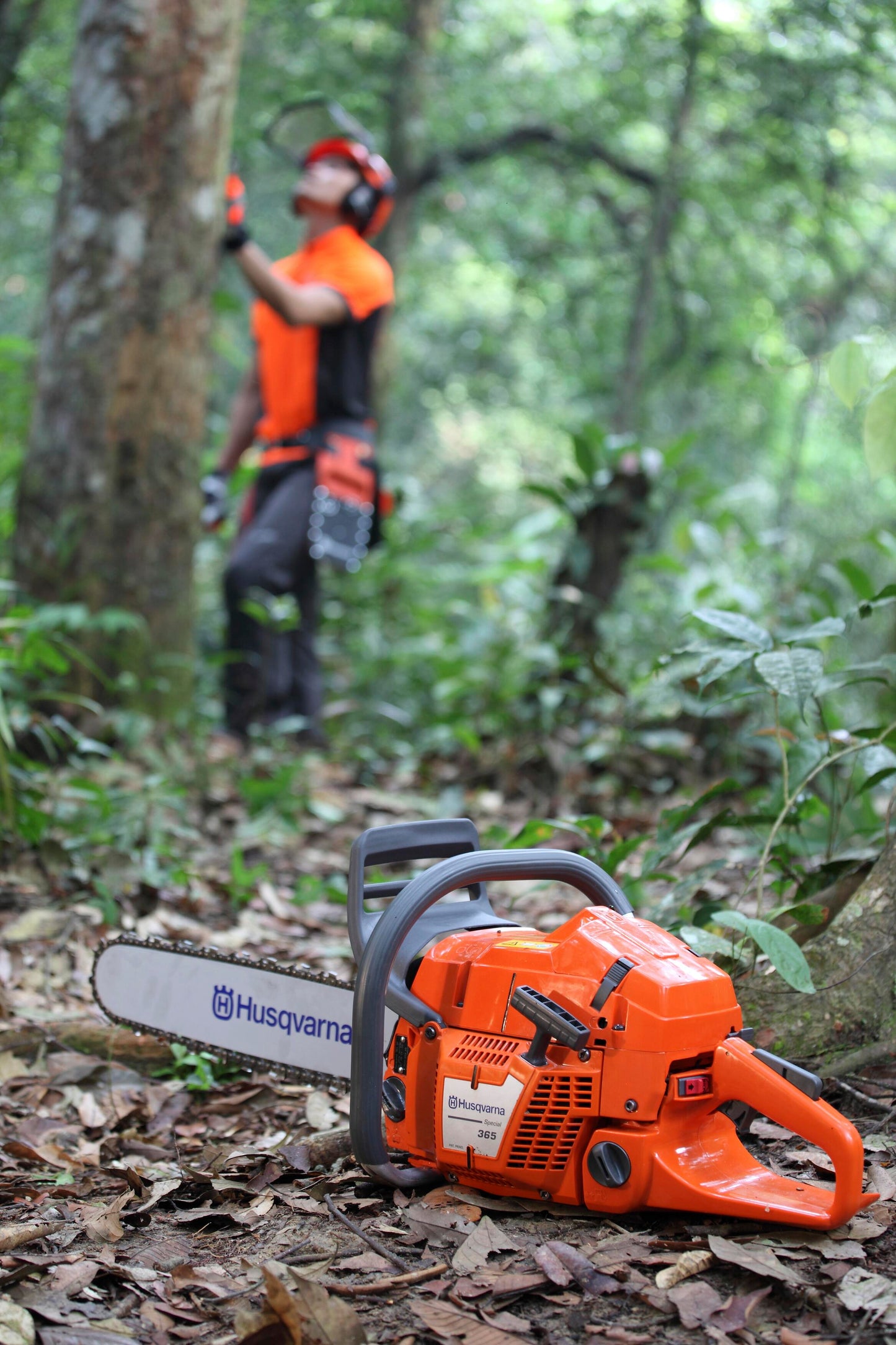 Husqvarna 365 Commercial Petrol Chainsaw