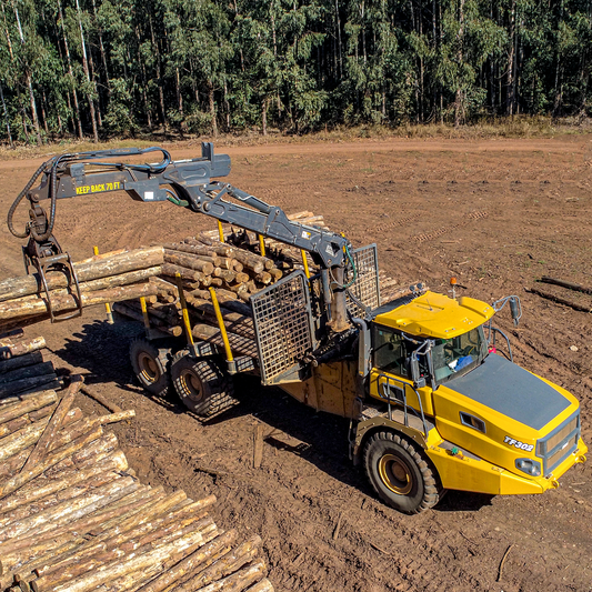TIMBER CRANE TF302E 6X6 DDB 205KW