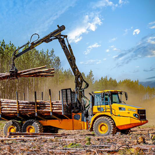 TIMBER,CRANE,TF302E,6X6,WDB ,205KW