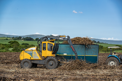 SLEW LOADER,CANE,6 TON